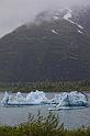 113 Portage Gletsjer